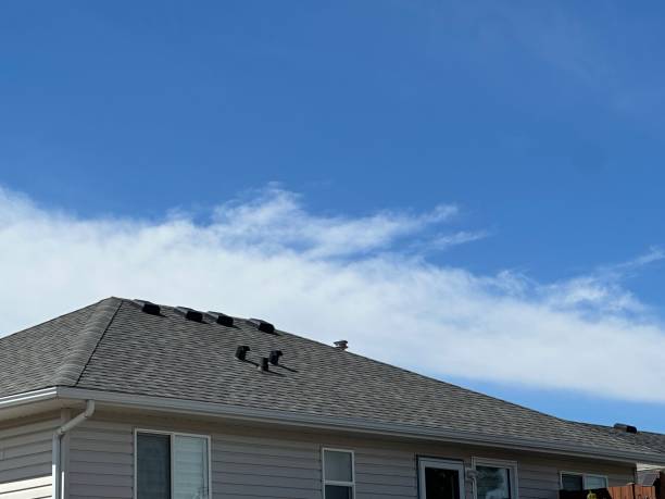 Best Solar Panel Roofing Installation  in Newport, RI